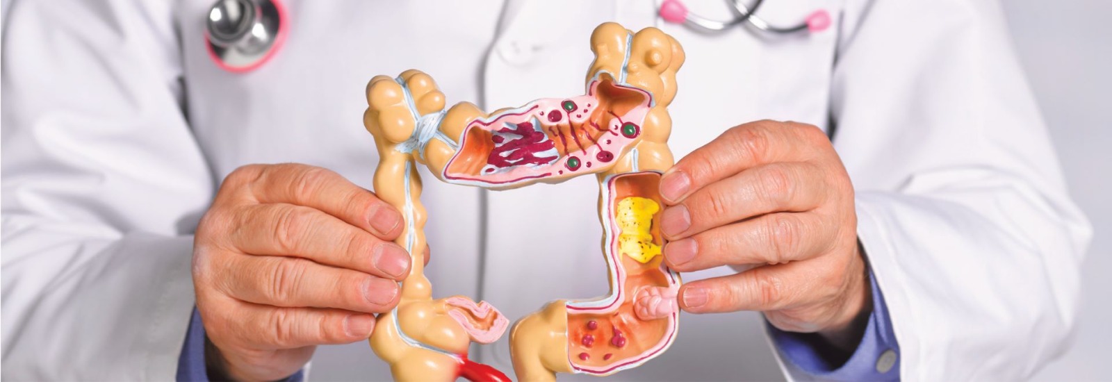 Internal Medicine Expertise