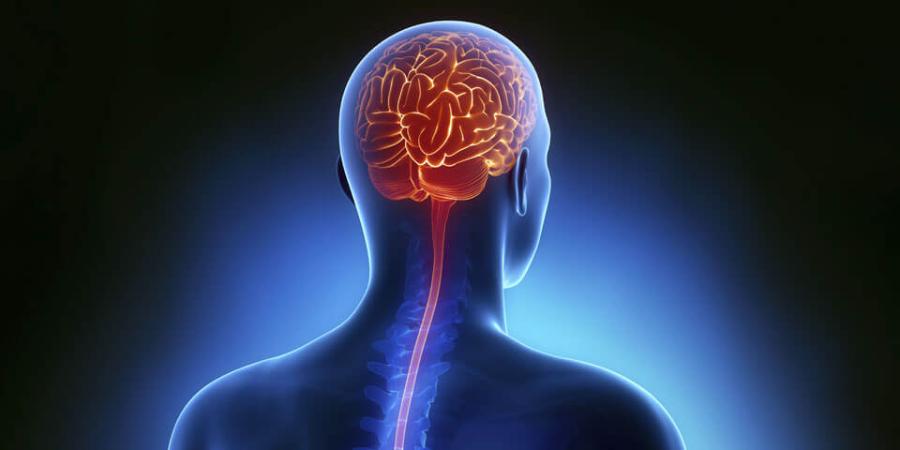 Brain issues